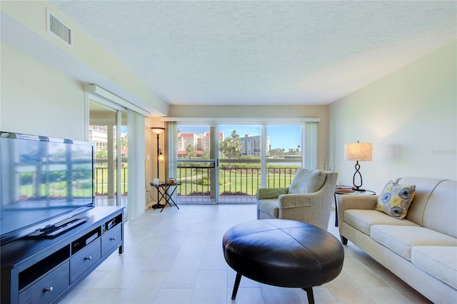 living room featuring a textured ceiling