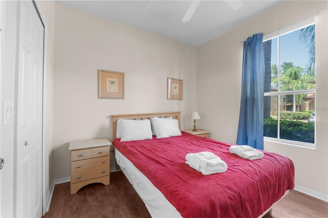 bedroom with dark wood-type flooring, ceiling fan, and a closet