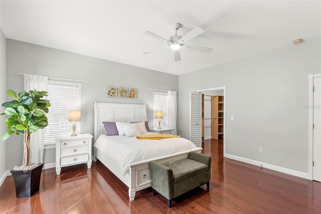 bedroom featuring ceiling fan, dark hardwood / wood-style floors, and a spacious closet