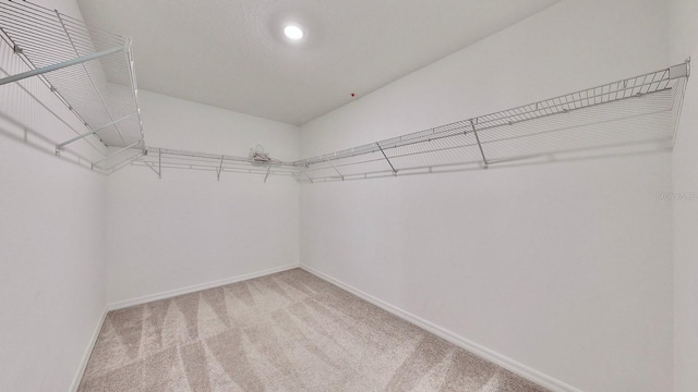 spacious closet featuring carpet floors