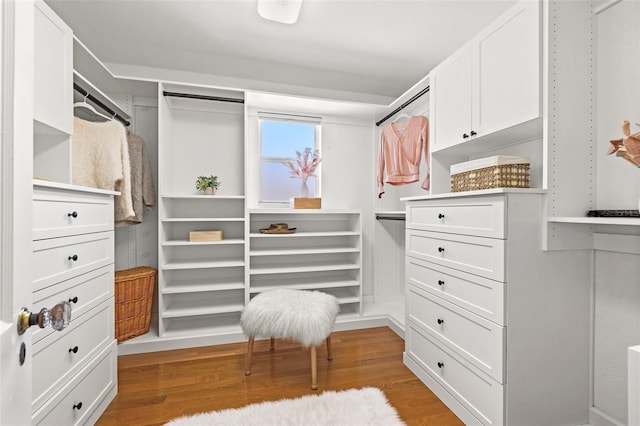 walk in closet with light wood-type flooring