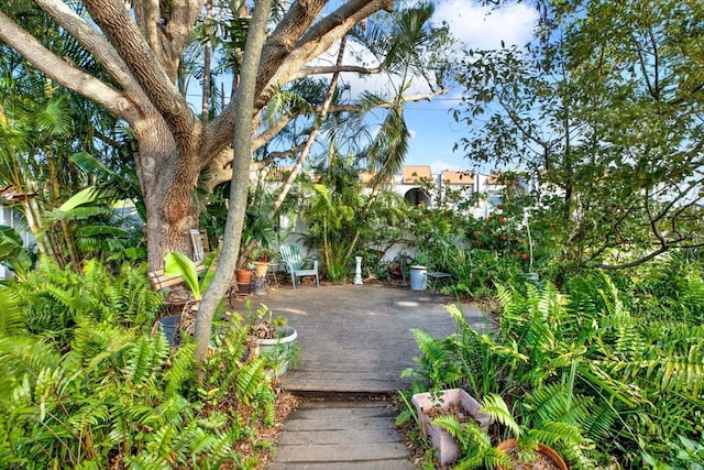 surrounding community featuring a patio