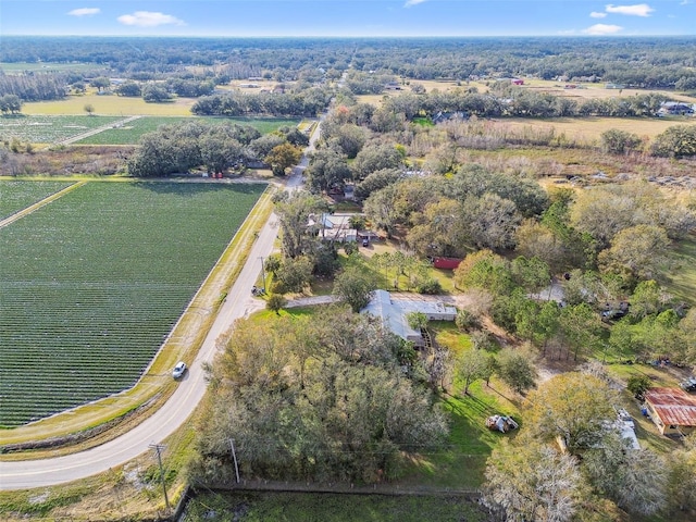 drone / aerial view with a water view and a rural view