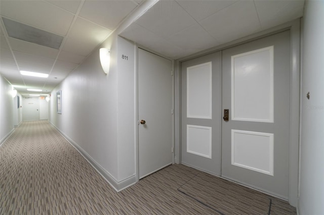 corridor featuring a drop ceiling and carpet flooring