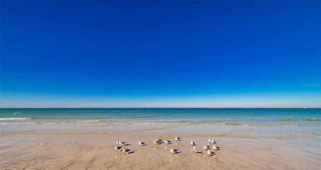 property view of water with a beach view