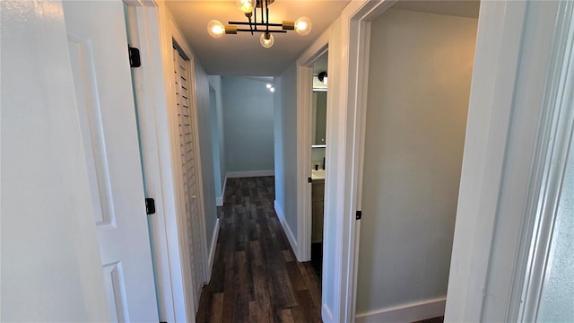 hall with an inviting chandelier and dark wood-type flooring