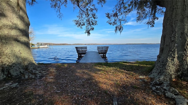 dock area with a water view