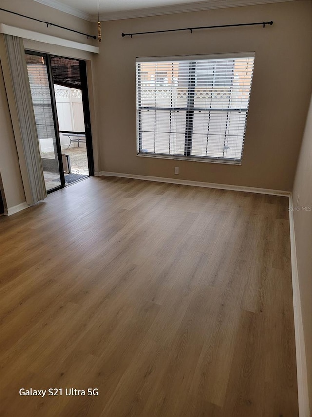 spare room with a healthy amount of sunlight and light hardwood / wood-style flooring