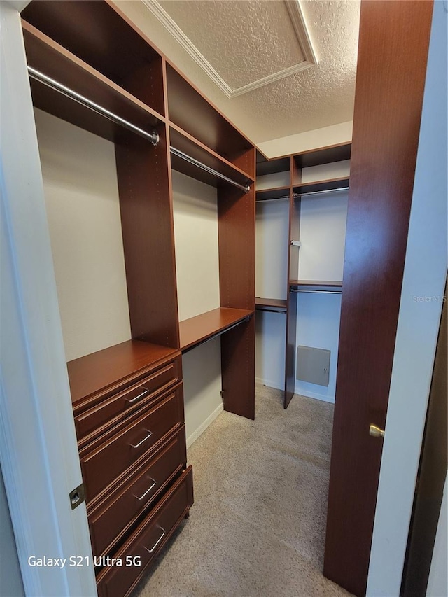 walk in closet with built in desk and light carpet