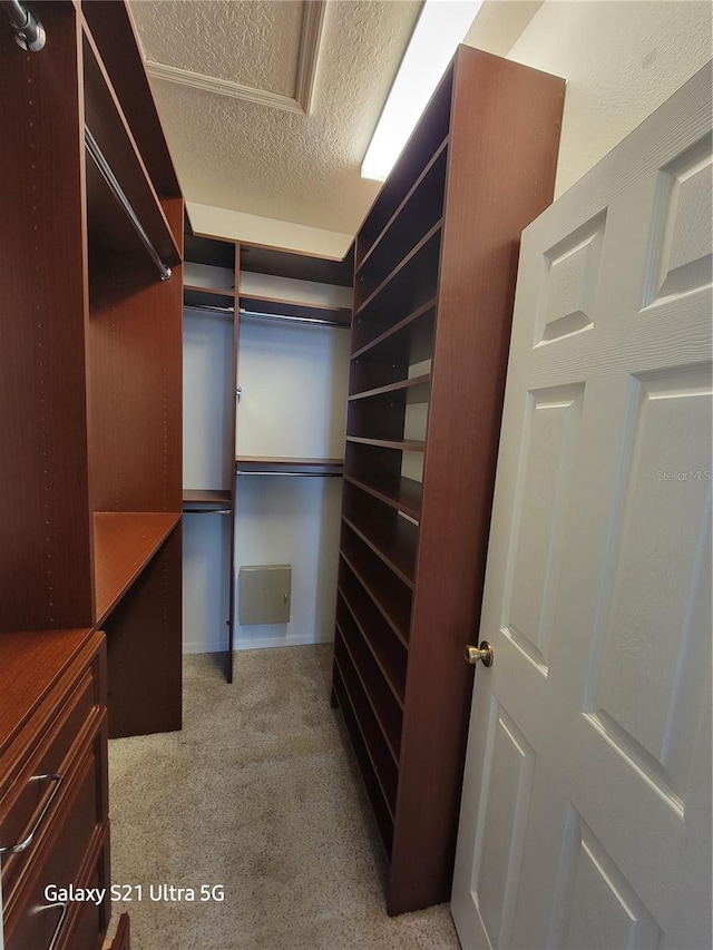 walk in closet with light carpet