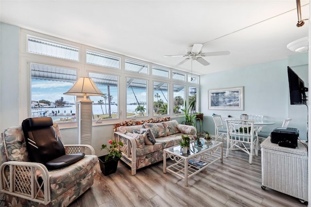 living room with ceiling fan and hardwood / wood-style floors