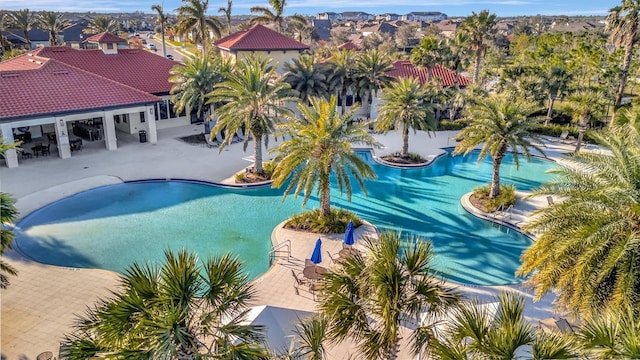 view of swimming pool featuring a patio