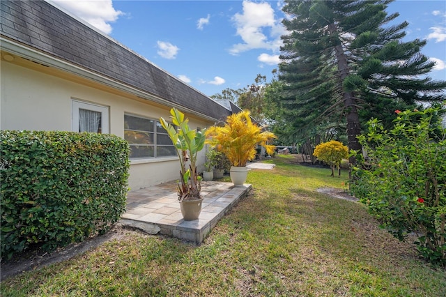 view of yard featuring a patio area