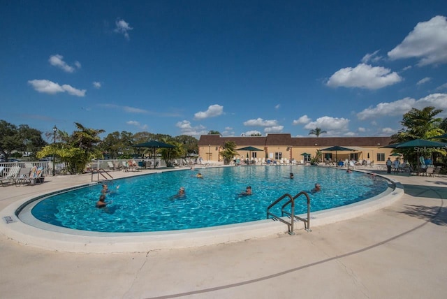 view of swimming pool with a patio