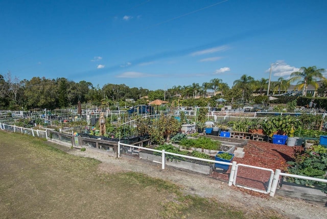 view of property's community featuring fence and a vegetable garden