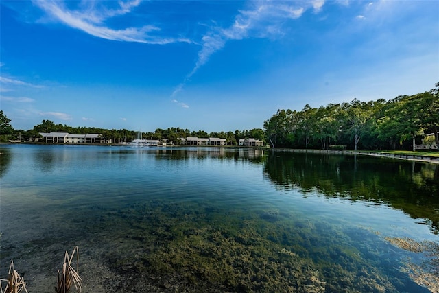 1433 Pine Glen Pl Unit G2, Tarpon Springs, FL 34688 - property view of water