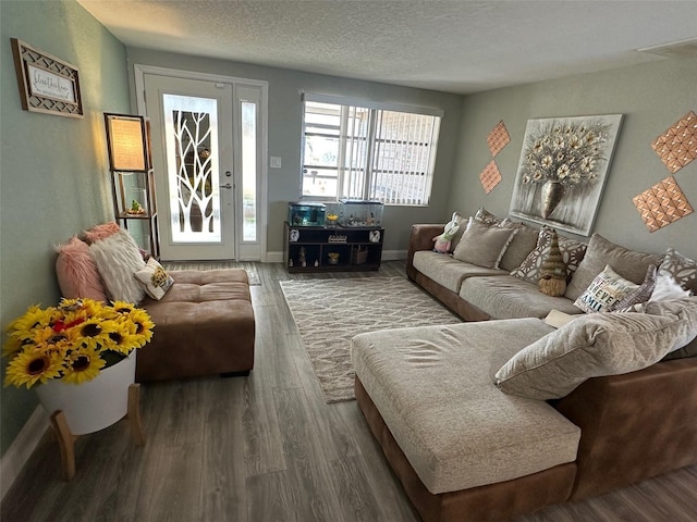 living room with hardwood / wood-style floors and a textured ceiling