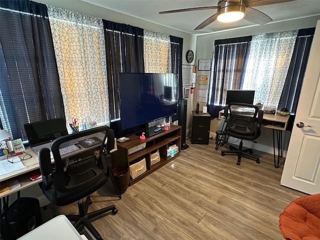 office with hardwood / wood-style floors and ceiling fan