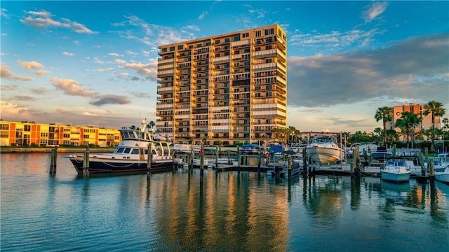 dock area with a water view