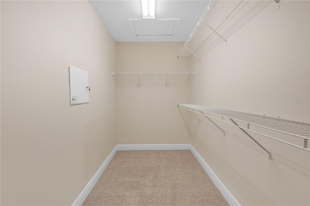 spacious closet with carpet