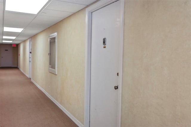 hallway featuring carpet floors and a drop ceiling