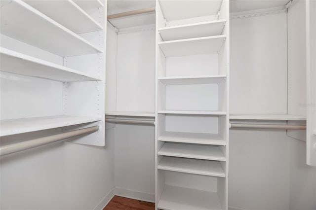 walk in closet with hardwood / wood-style flooring