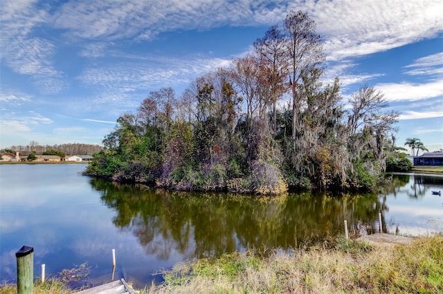 property view of water