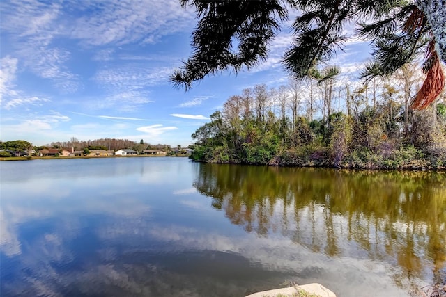property view of water