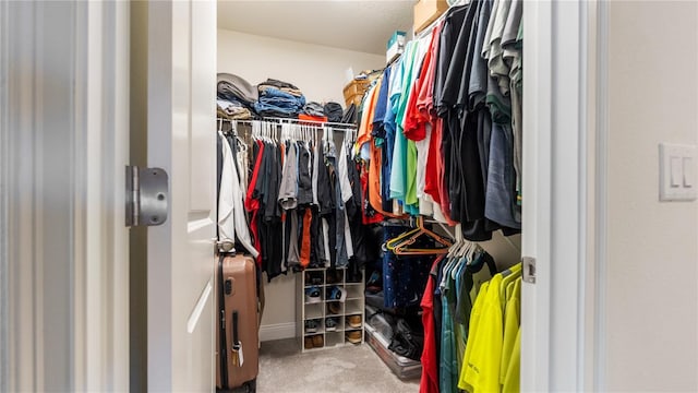 view of spacious closet