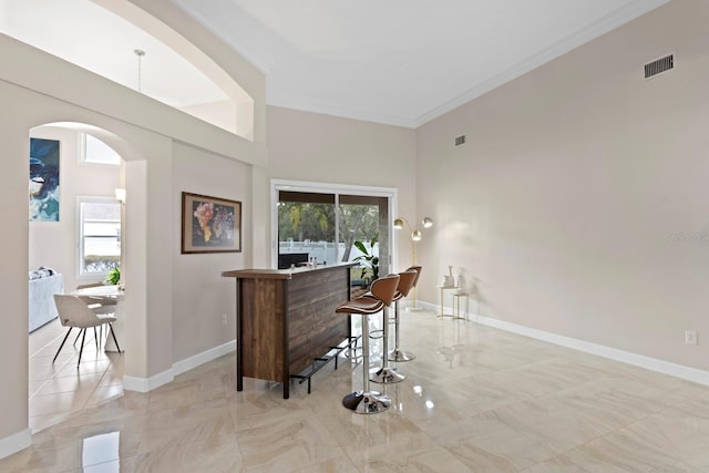 bar featuring crown molding and a wealth of natural light