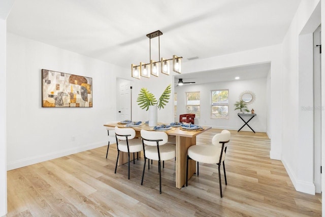 dining room with light hardwood / wood-style floors