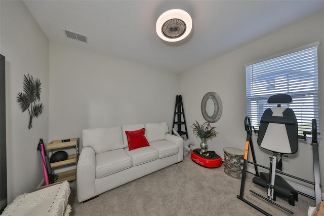 exercise room featuring carpet floors