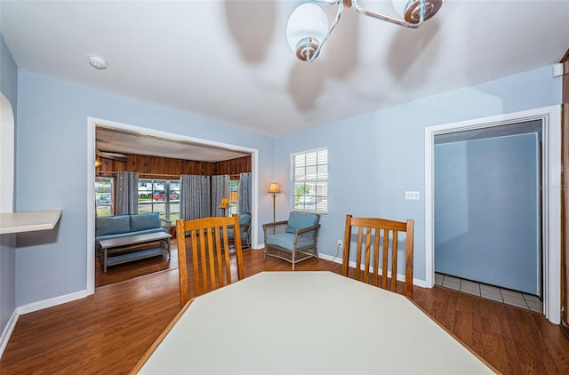 bedroom with dark hardwood / wood-style flooring and multiple windows