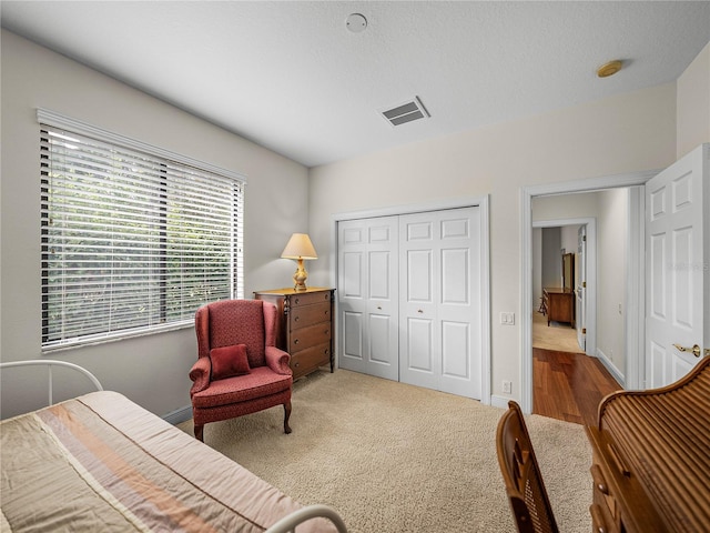 living area featuring carpet flooring