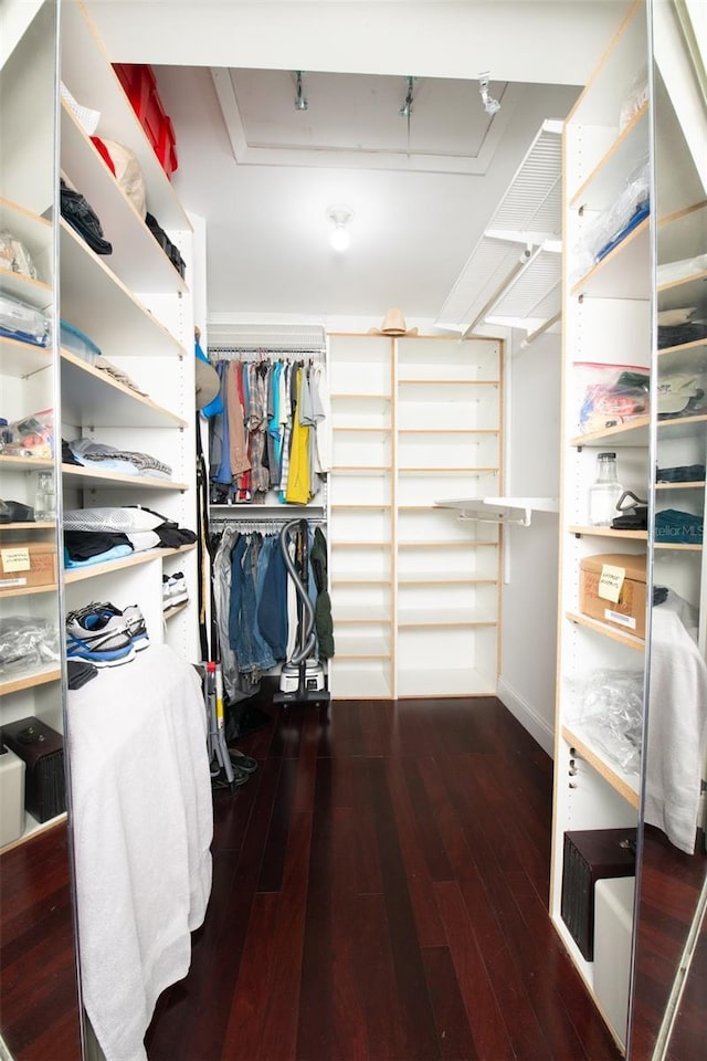 walk in closet featuring dark hardwood / wood-style floors