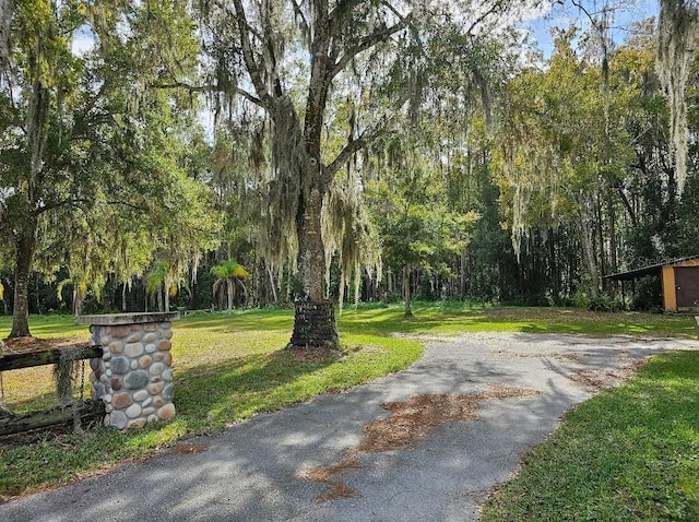 view of home's community with a yard