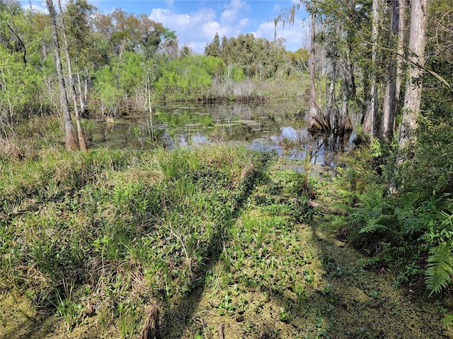 view of landscape featuring a water view