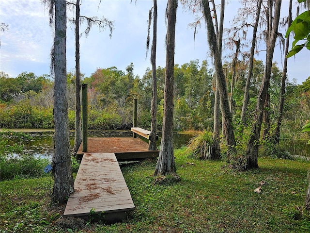 dock area with a water view