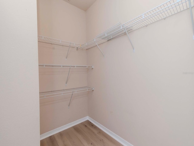 spacious closet with hardwood / wood-style flooring