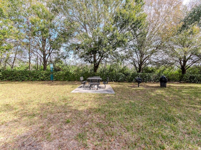 view of yard with a patio area