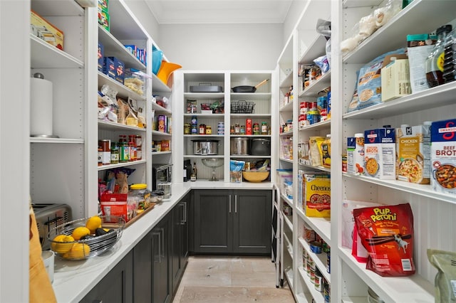 view of pantry