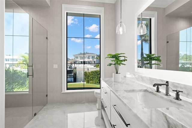 bathroom with vanity, toilet, a shower with door, and a wealth of natural light