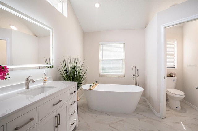 bathroom with vanity, vaulted ceiling, a washtub, and toilet