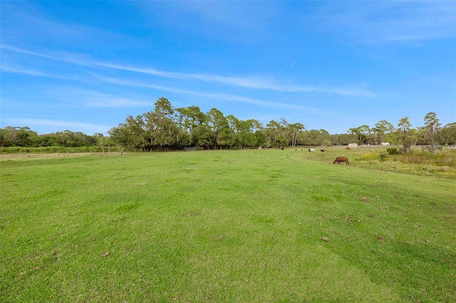 19050 Tyler Rd, Odessa FL, 33556 land for sale