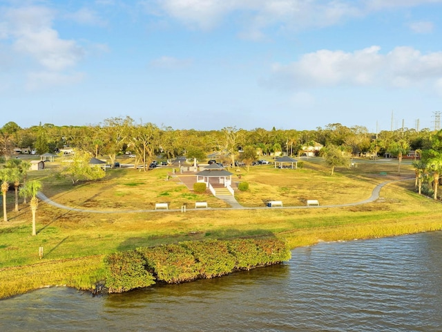 316 Shore Dr E, Oldsmar, FL 34677 - bird's eye view with a water view