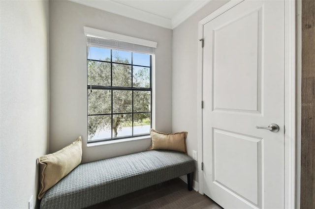 living area featuring ornamental molding