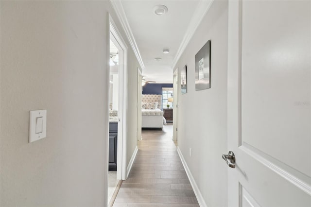 hallway featuring crown molding and light hardwood / wood-style floors