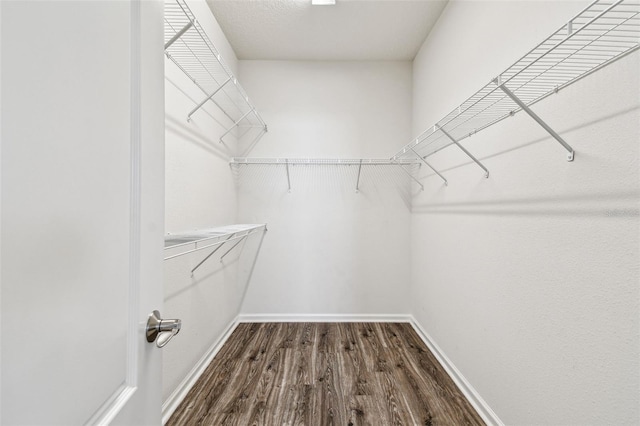 walk in closet featuring hardwood / wood-style flooring