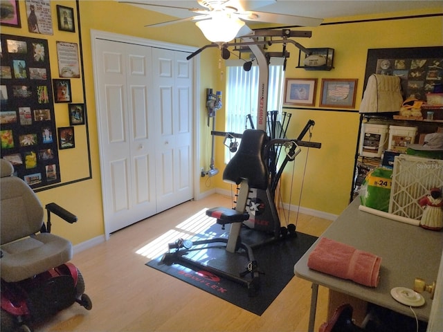 workout room featuring hardwood / wood-style floors and ceiling fan