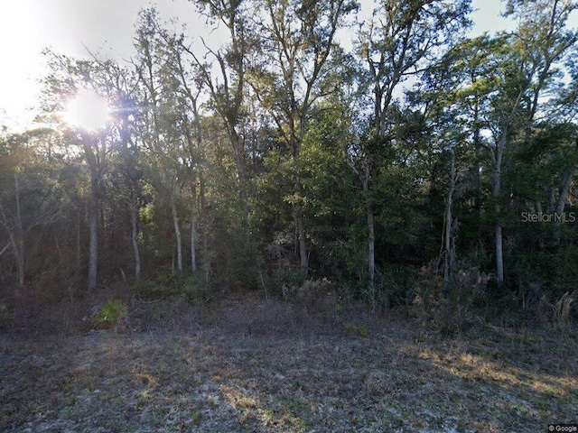 7075 S St, Webster FL, 33597 land for sale